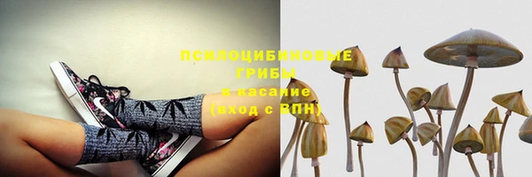 спайс Алзамай