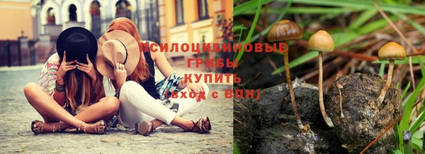 спайс Алзамай