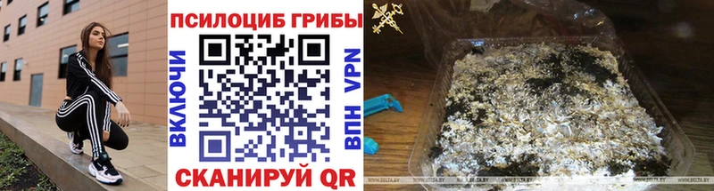 Галлюциногенные грибы мицелий Нижний Ломов